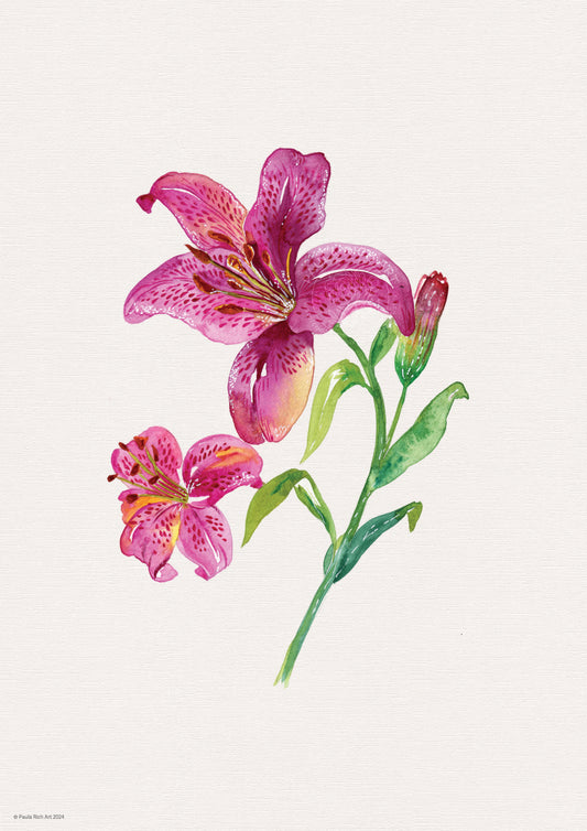 Stargazer Archival A4 Print